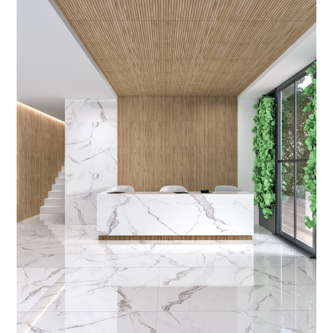 24" x 47" Porcelain Floor & Wall Tile Mirrella 