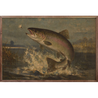 Rainbow Trout On The Lake