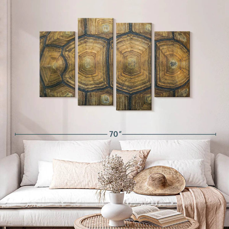 Brampt Giant Tortoise Shell