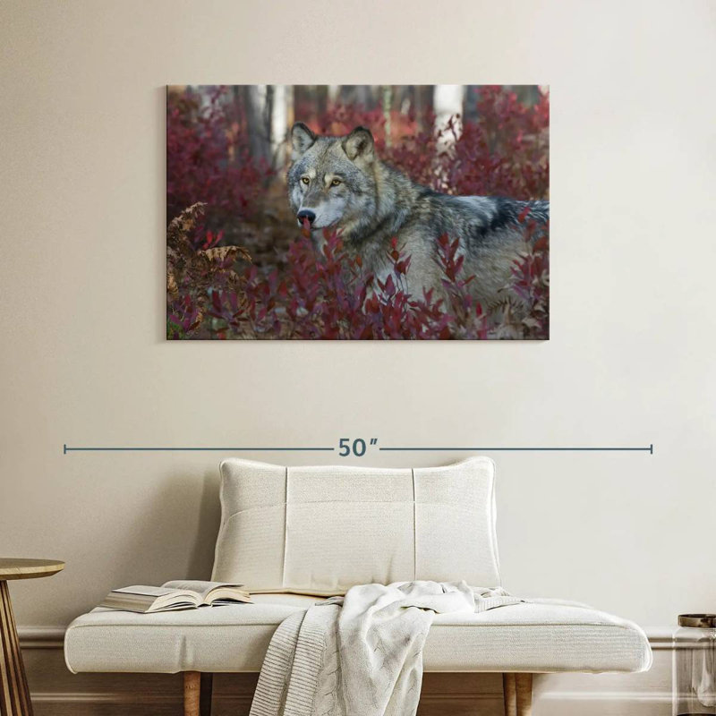 Brampt Gray Timber Wolf