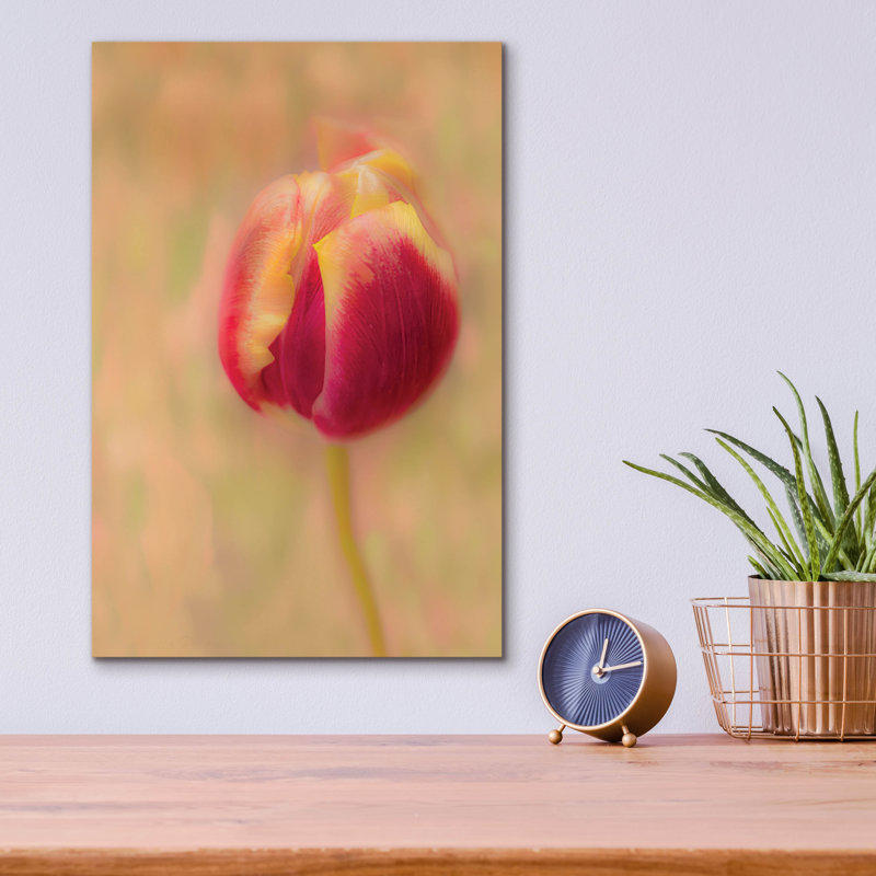«First Bloom» par Pamela Plummer, H 16 po x l 12 po x P 0,13 po