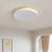 15.75inch Modern LED Flush Mount 3000K/4000K/6000K Dimmable Flush Mount Light
