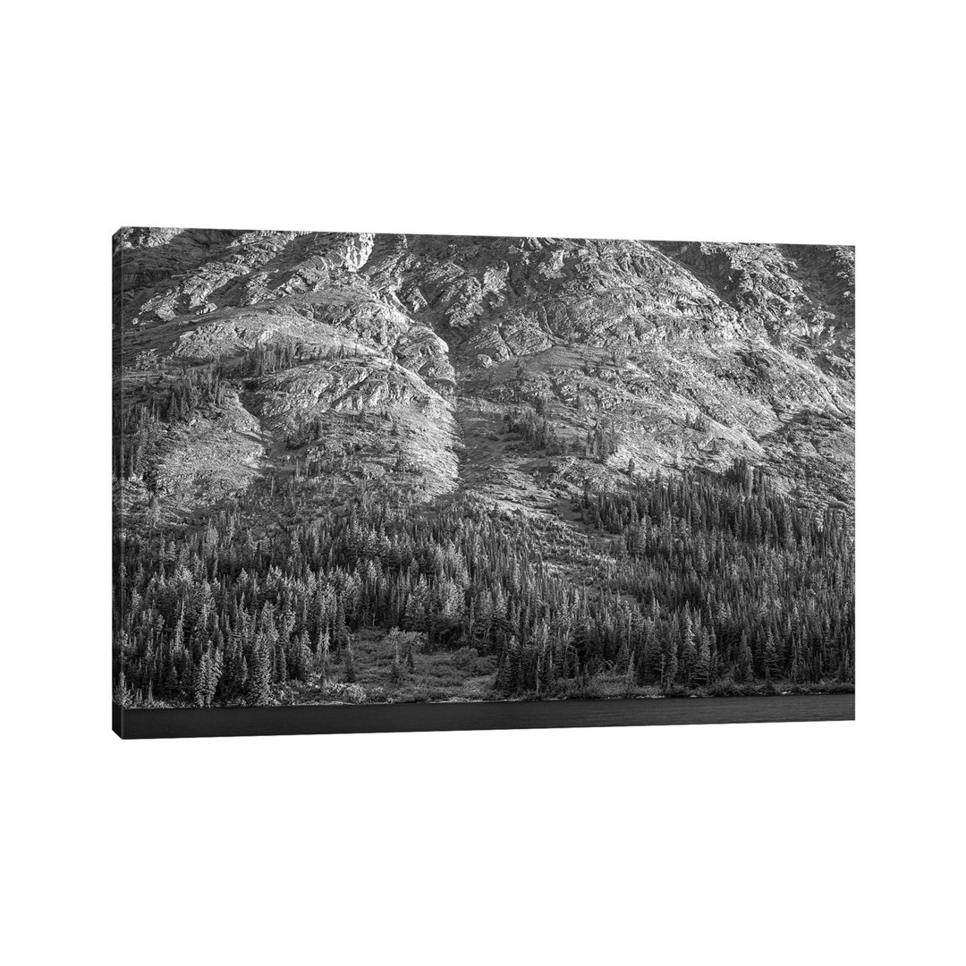 Tongass National Forest, Alaska von Tim Fitzharris - Gallery-Wrapped Canvas Giclée on Canvas