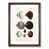 Walnut Framed selected