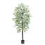 Ficus artificiel en pot-573331819-573331798