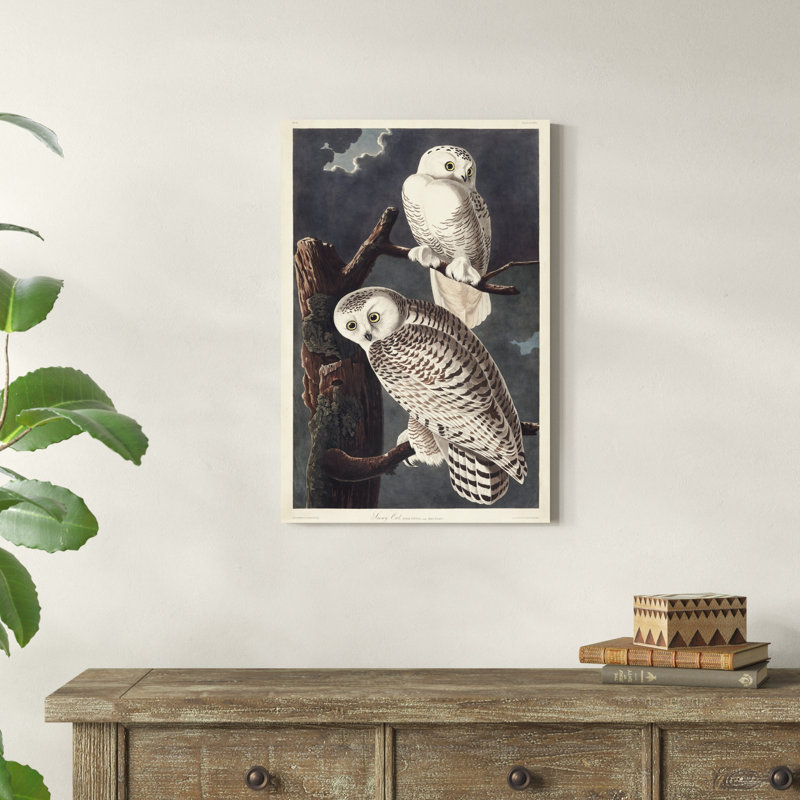 Pl 121 Harfang des neiges, H 30 po x l 20 po