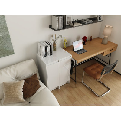 24" Freestanding Bathroom Storage Cabinet