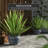 Prunty Handmade Ceramic Cachepot-729165960