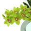 Modern Orchid Arrangement in Mirrored Glass Vase-1179296743