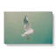 Seagull In Abstract - Wrapped Canvas-55340474