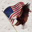 Ophelia & Co., Manning, Ruane, art sur toile tendue sous le titre: Aigle patriotique-2010706098