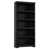 Black is out of stock