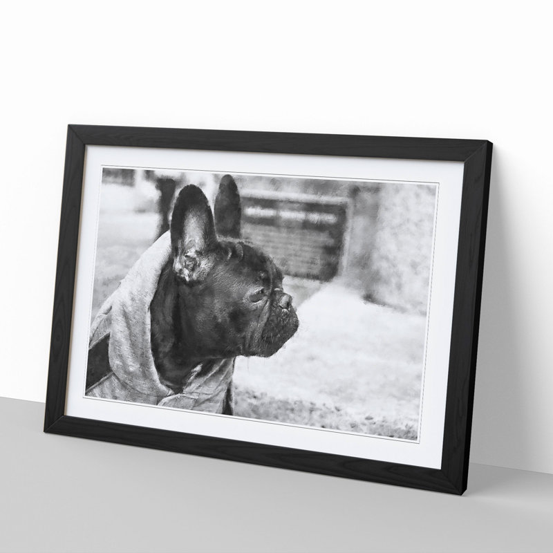 French Bulldog Vol.2 - Picture Frame Graphic Art, 48cm H x 65cm W x 2cm D, Black Framed