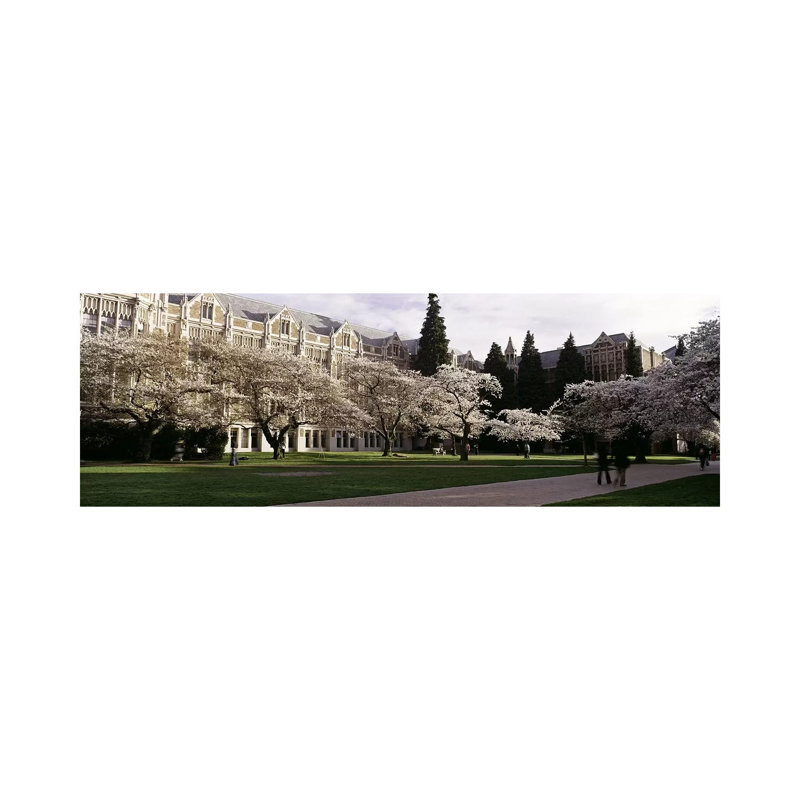 Cherry Trees In The Quad Of A University, University Of Washington, Seattle, King County, Washington State, USA - Wrapped Canvas Panoramic Print