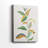 Touched with Sage I -Gallery Wrapped Cavas-1191932450