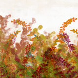 Strawberry Field II Print