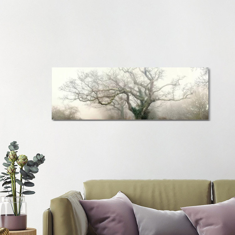 Octopus Ghost Oak by Philippe Manguin - Panoramic Print on Canvas, No Framed, 121.92 cm H x 40.64 cm W x 1.91 cm D