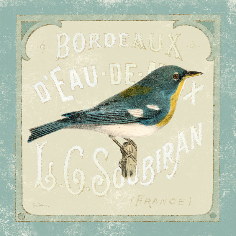 Parisian Bird I by Sue Schlabach - Wrapped Canvas Painting, 122cm H x 122cm W