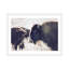 Photographie buffalo-43719327-43719330