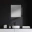 Miroir de salle de bain Aariah-847674773-847674793