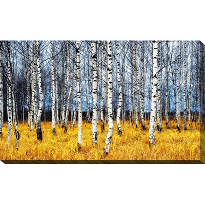 " Birch Trees 2 "