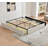 Schernik Upholstered  4 Drawers Storage Platform Bed-840761341-840761315