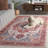 Alphonia Performance Machine Washable Oriental Rug-1295649792