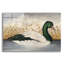 Art mural en verre acrylique August Grove® «Magpie Goose» par David Carter-1046802328