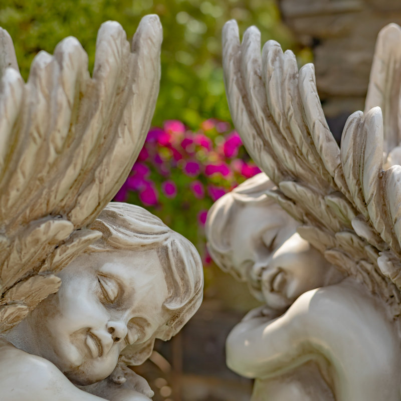 Statue de jardin Aleedis Weather Resistan
