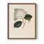 Impression florale rétro sur papier-649870544-649870547