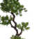 72'' Faux Bonsai Tree in Fiberstone Planter