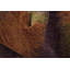 Élégant tapis multicolore de style Gabbeh 6 x 8 avec des teintes pastel rayées