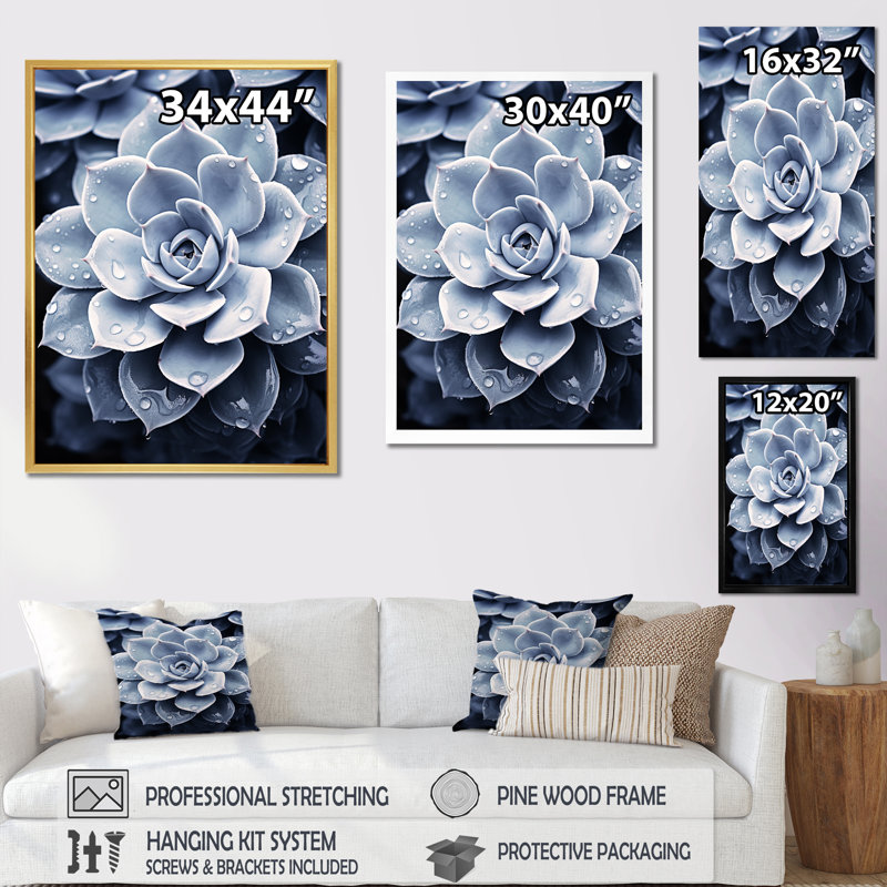 Bleu plante grasse I, Cadre simple noir, H 32 po x l 16 po x P 1 po