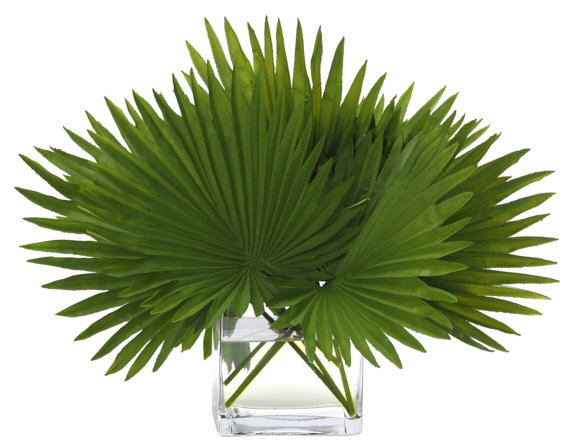 Fan Palm, Green, Glass Cube, 22wx15dx16h