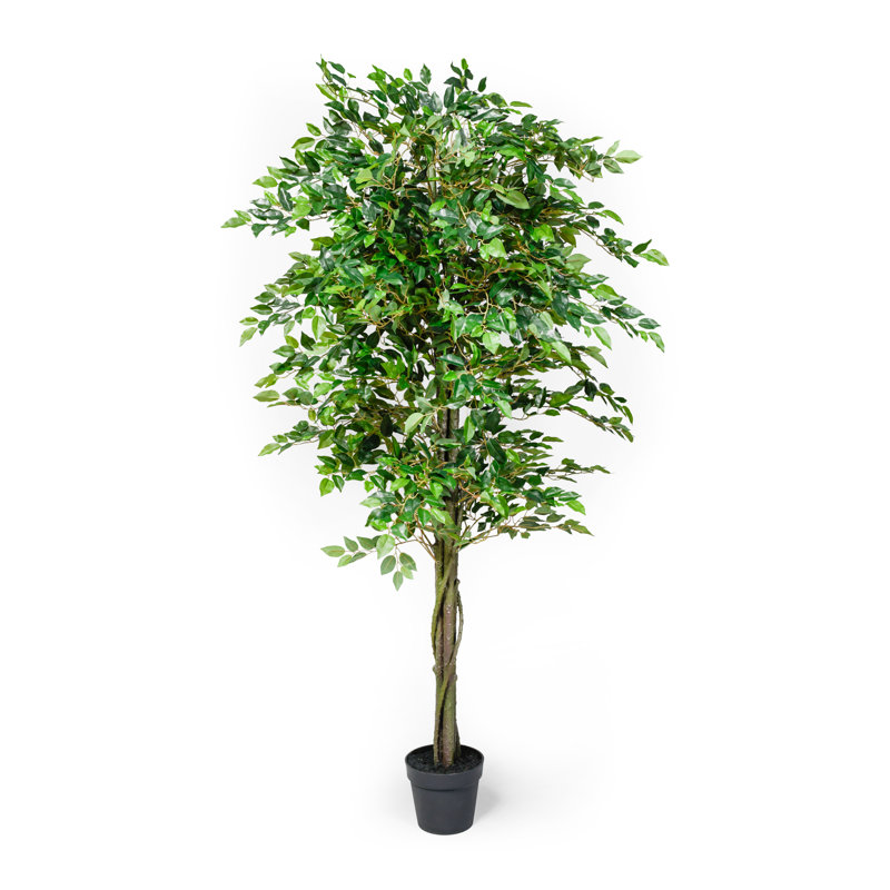 71'' Faux Ficus Tree in Pot