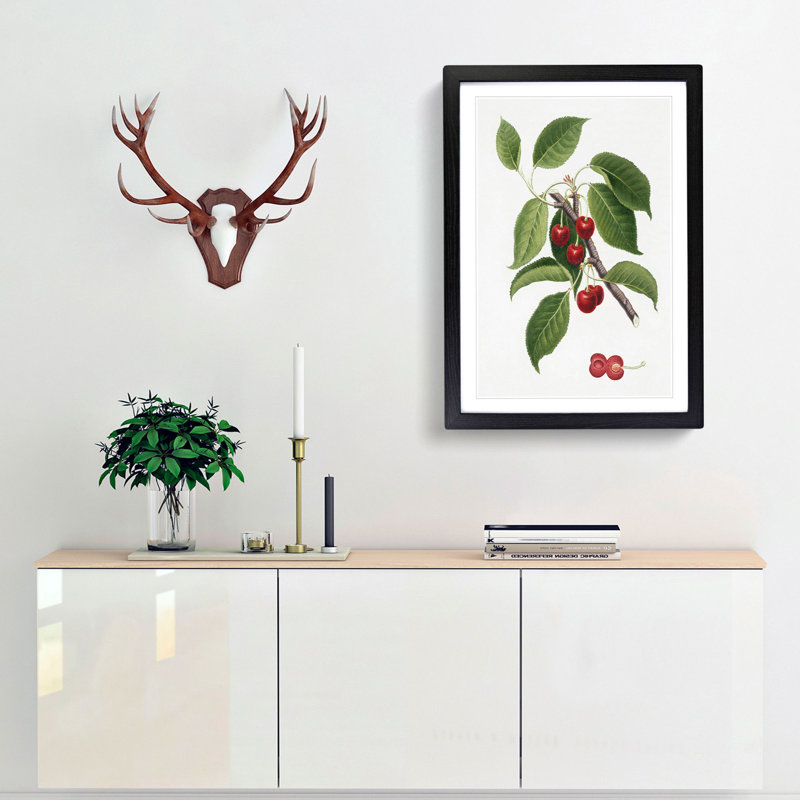 Sour Cherry Tree by Giorgio Gallesio - Picture Frame Painting Print, 36cm H x 27cm W x 2cm D, Black Framed