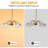 6-Light 29.5" Modern Linear Sputnik Chandelier