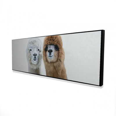 " Two Lamas "