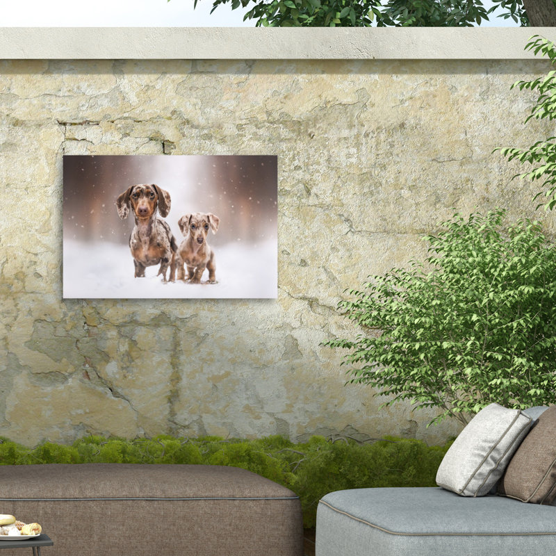 Toile extérieure Natalie Grosse Snow Friends, H 12 po x l 19 po