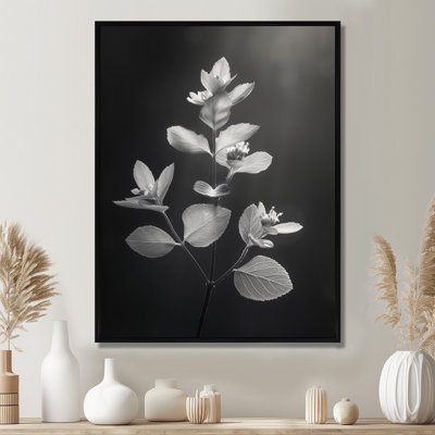 «Elegant Silhouette», gris, monochrome, eucalyptus II - Eucalyptus, art mural