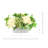 Assorted Hydrangea and Sedum Arrangement