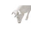 Animals Life Cow Statue