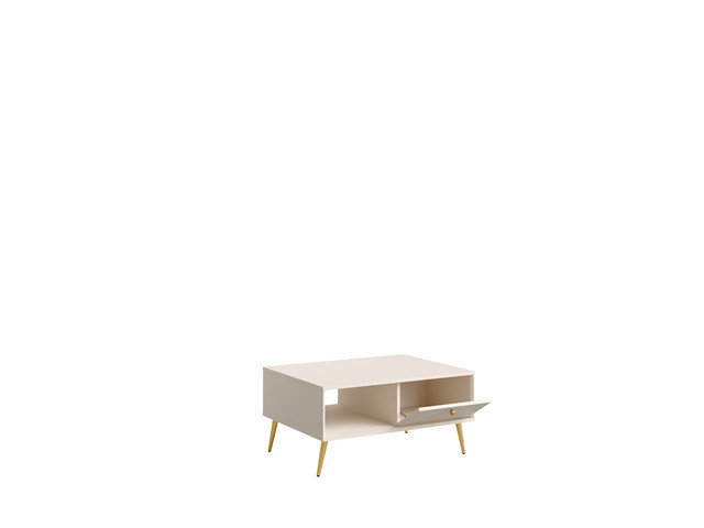 Coffee Table with Storage