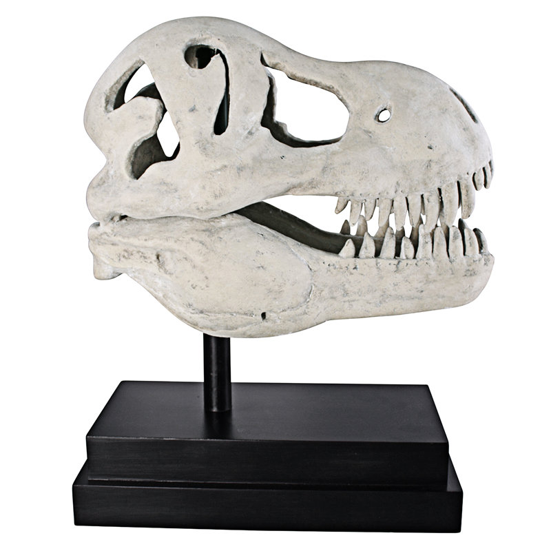 Sculpture de fossile de crâne de dinosaure T-Rex
