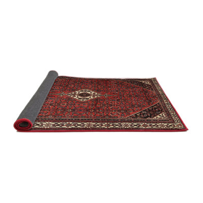 Southwestern Indoor Rug