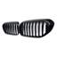 Front Kidney Grille
