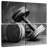 Sireci Old Dumbbells