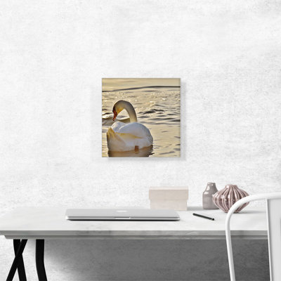 " Swan In Lake Home Decor "