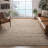 Sisco Hand Woven Wool/Cotton Abstract Rug in Beige-985556245