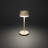Lyon Cordless Table Lamp - USB Rechargeable, RGB Dimmable LED, Elegant Design-110764324